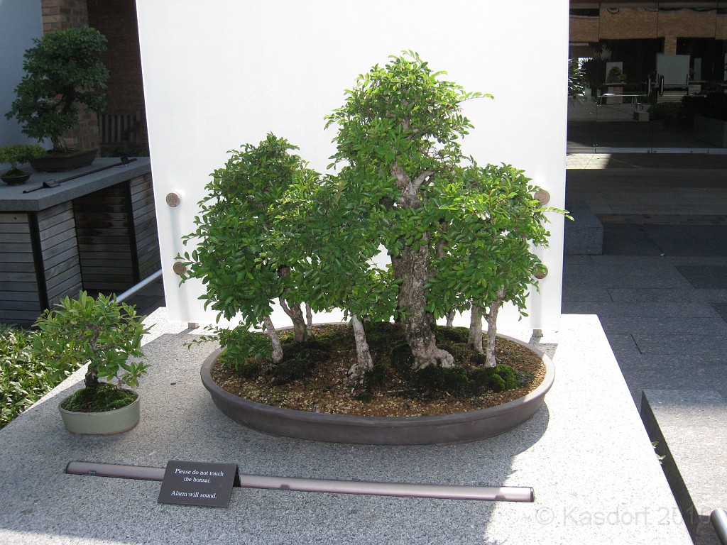 Botanical Gardens 2010 0475.jpg - The Chicago Botanic Gardens. Wear comfortable shoes, and be prepared to enjoy the landscape for a day.